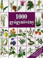 Dr. Hans W. Kothe: 1000 gygynvny 